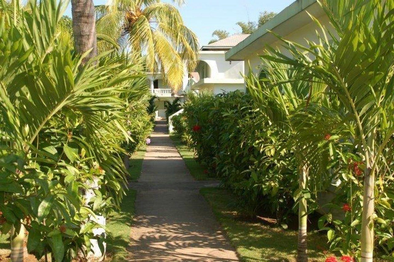 Hidden Paradise Resort Hotel Negril Exteriér fotografie